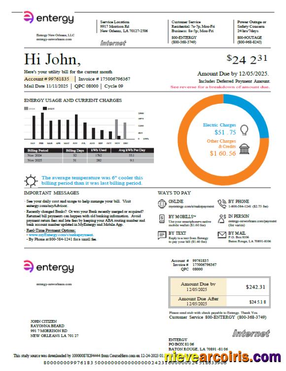 USA Entergy utility bill, version 2